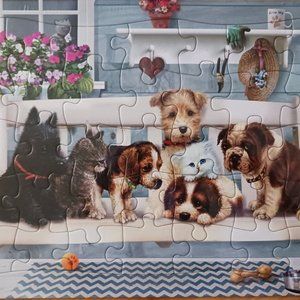 35 Large Piece Board Puzzle for Children 3+ Low Vision Adaptive New